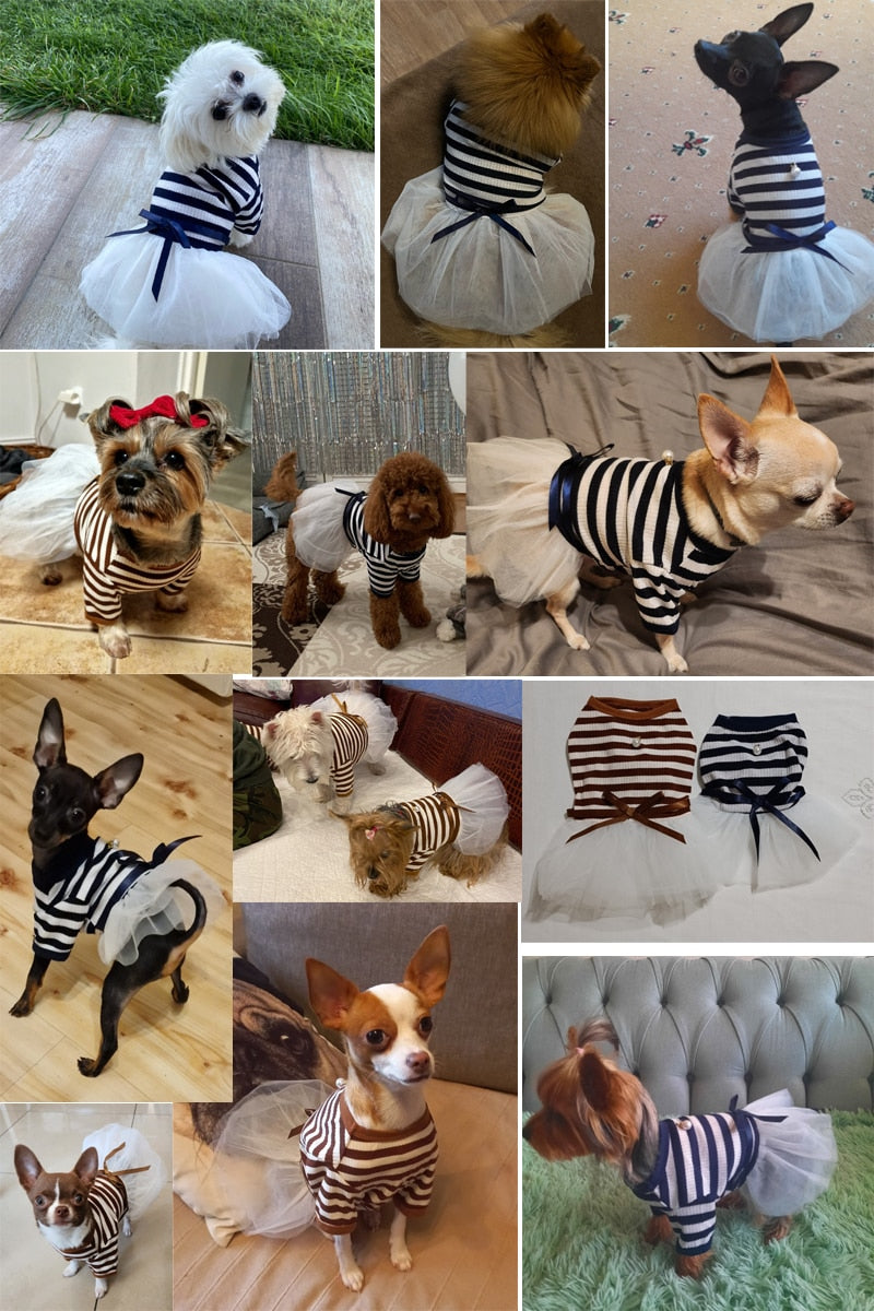 Small Dog Pet Clothes