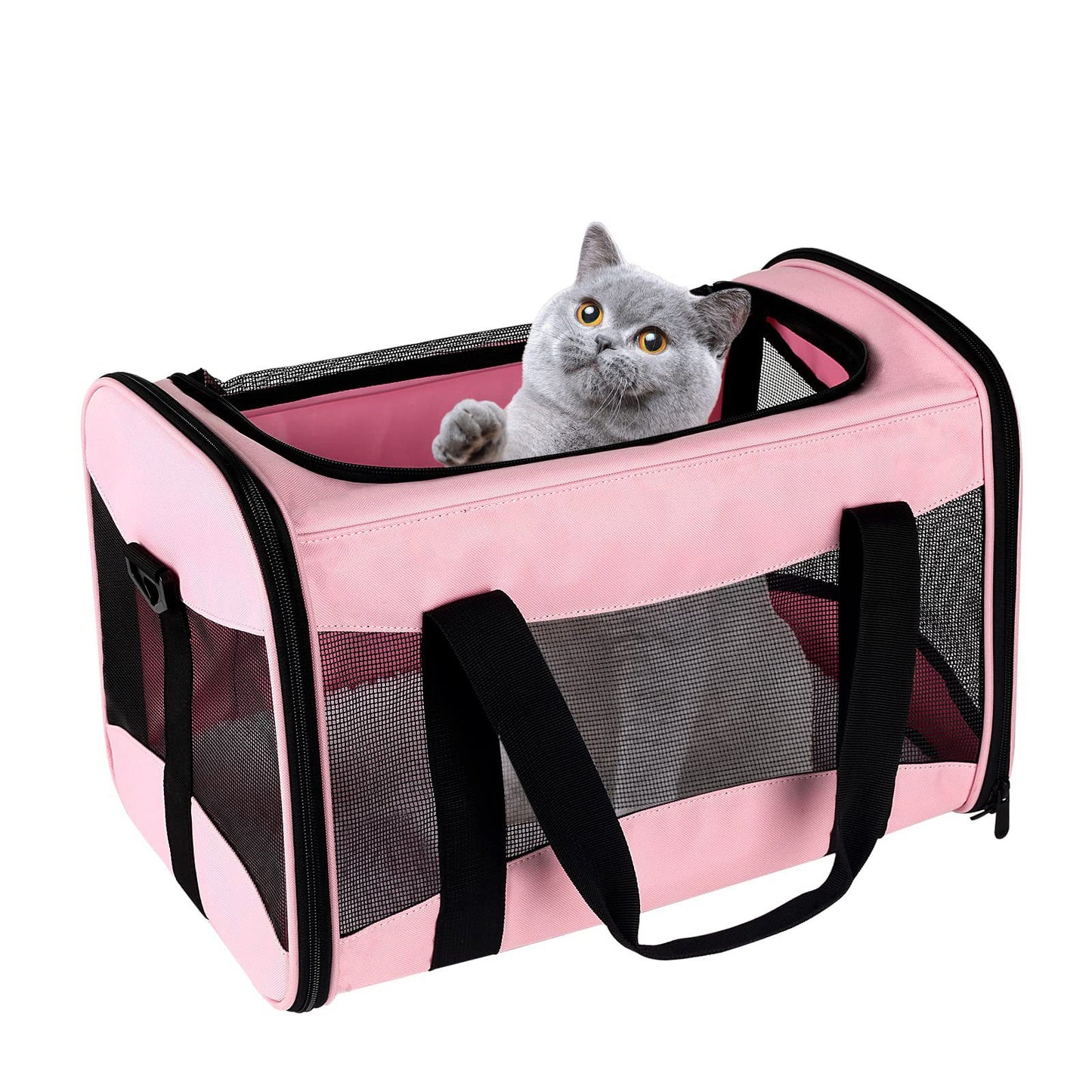 Portable Foldable Crossbody Pet Bag