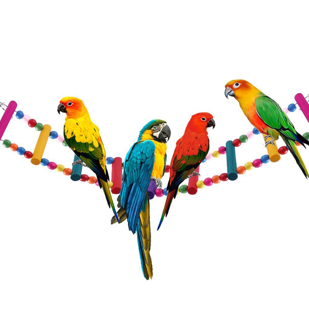 Parrot Wooden Bead Ladder Toy