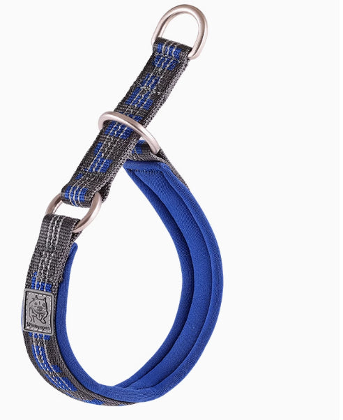 P-Chain Dog Collar