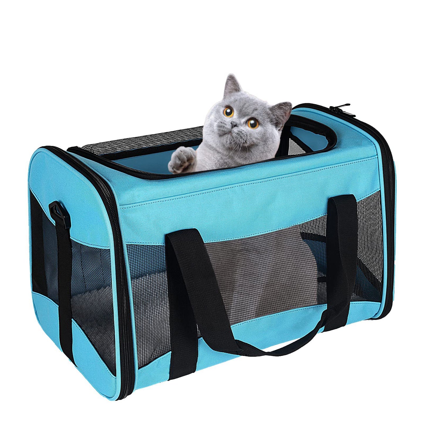 Portable Foldable Crossbody Pet Bag