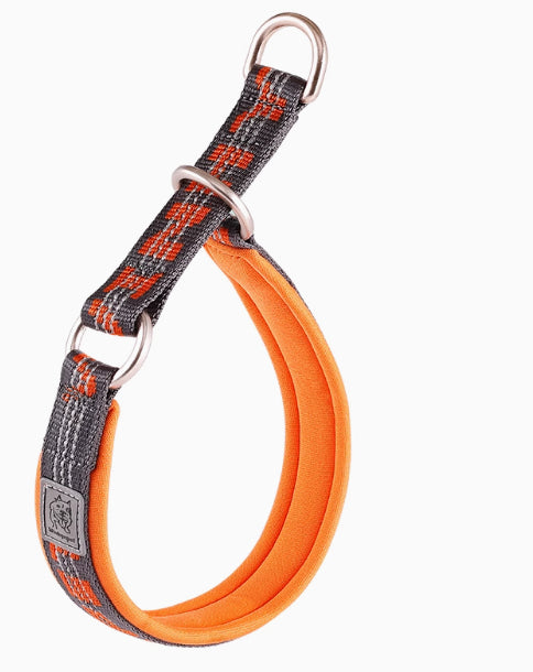 P-Chain Dog Collar