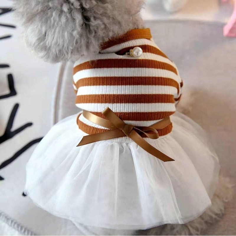 Small Dog Pet Clothes
