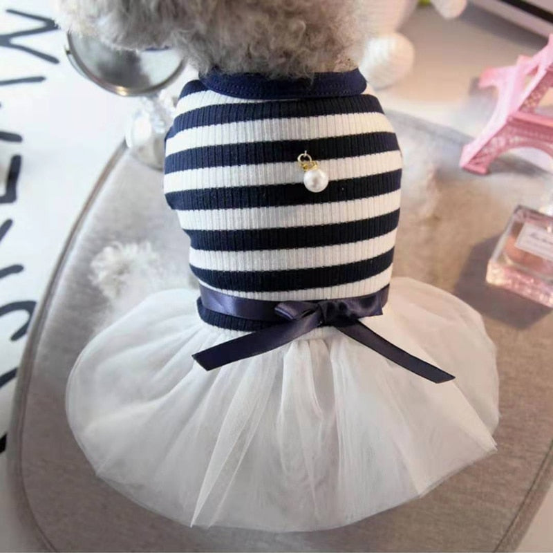 Small Dog Pet Clothes