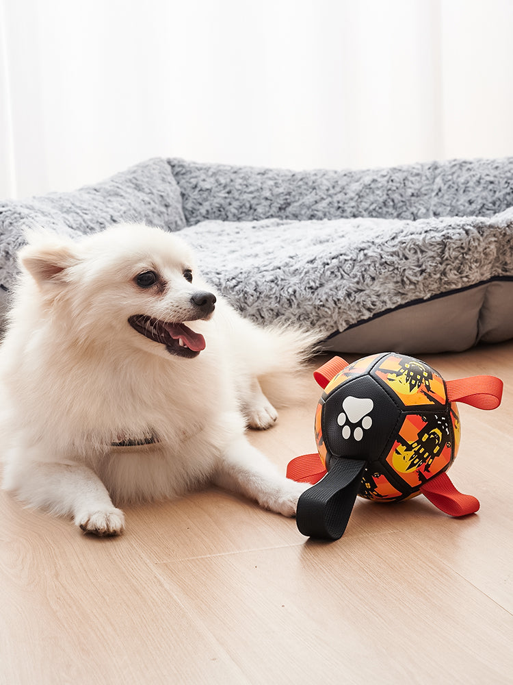 Interactive Dog Soccer Chew Toy