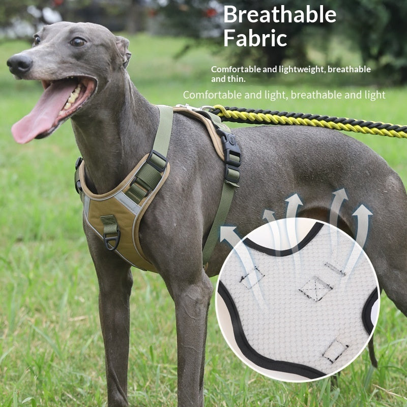 Adjustable Dog Harness Set