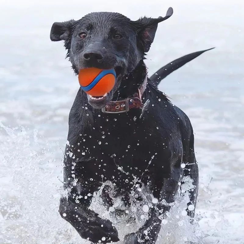 Durable Dog Fetch Chew Ball