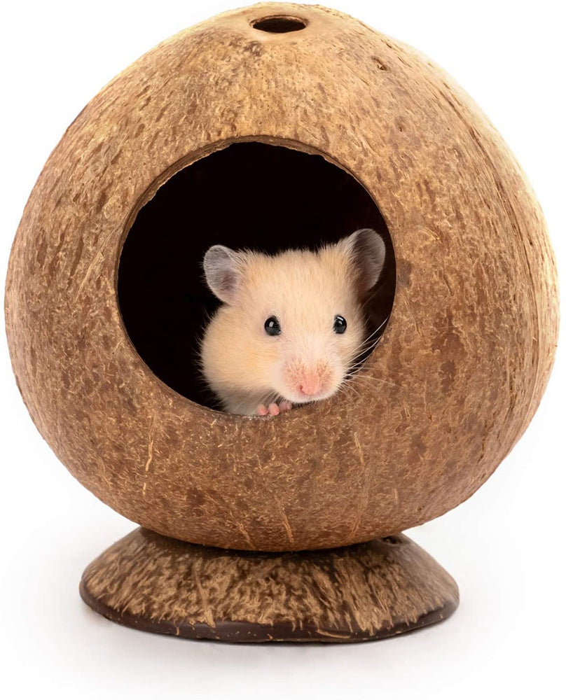 Nid de noix de coco pour hamster