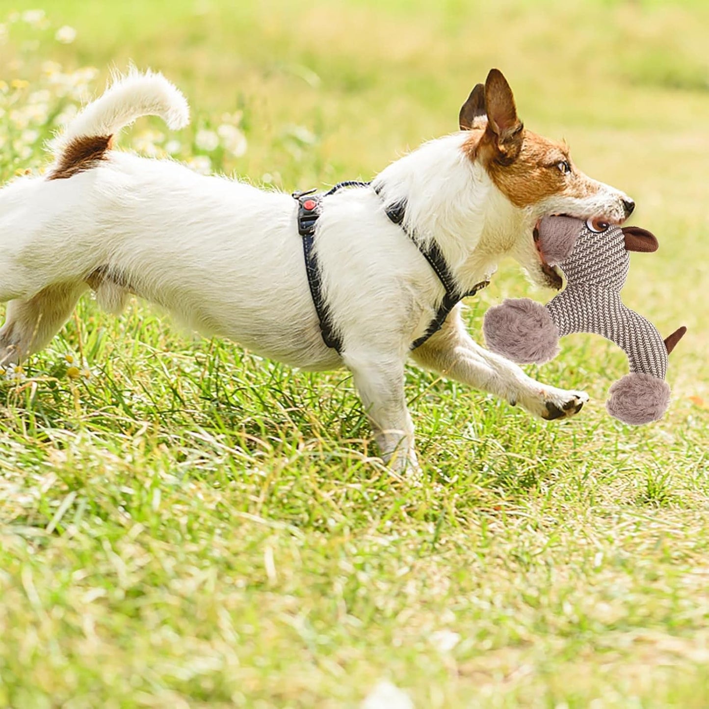 Large Squeaky Dog Plush Toy