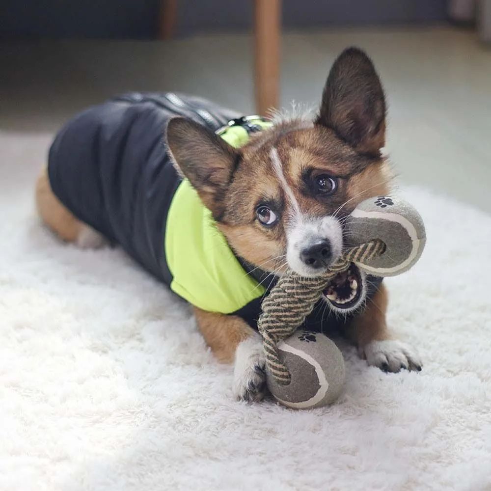 Dog Chew Rope Ball Toy