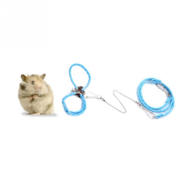 Corde de traction pour l'entraînement des hamsters