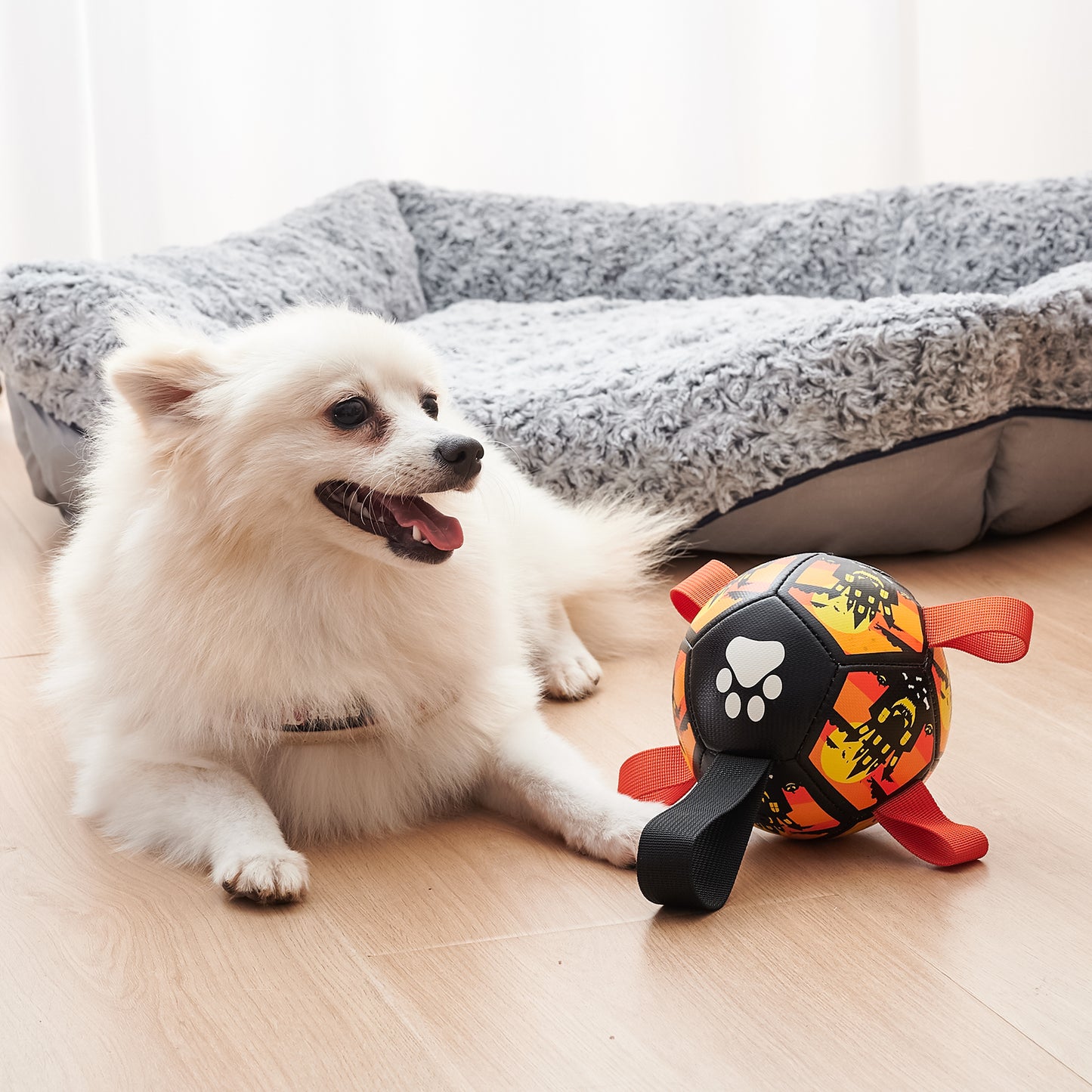 Interactive Dog Soccer Chew Toy