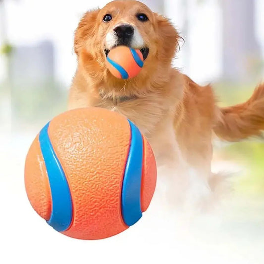 Durable Dog Fetch Chew Ball