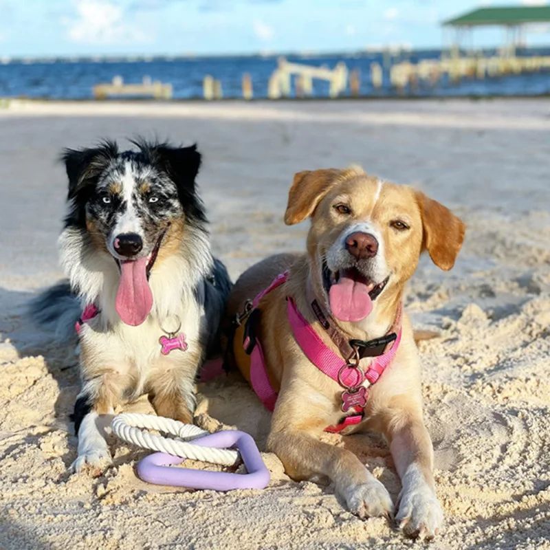 Triangular Rope Dog Toy