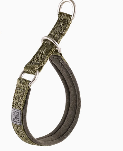 P-Chain Dog Collar