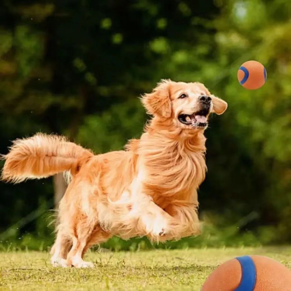 Durable Dog Fetch Chew Ball