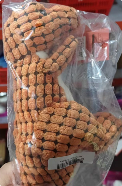 Giant Dinosaur Dog Plush Toy