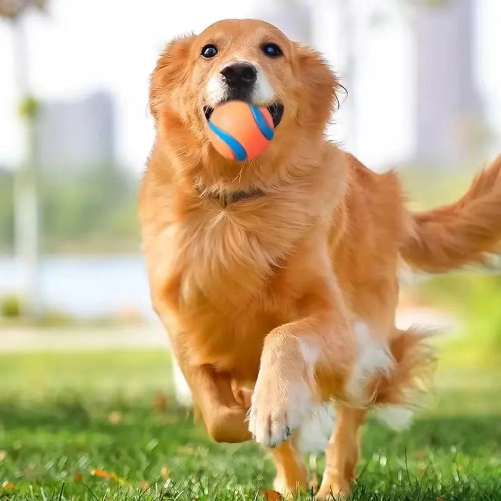 Durable Dog Fetch Chew Ball