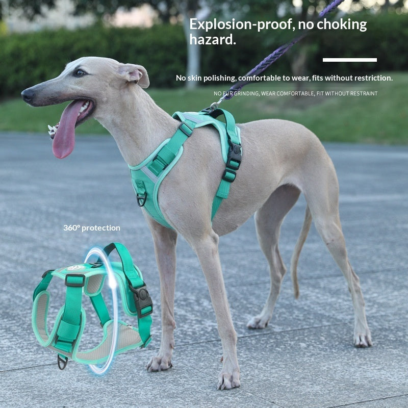 Adjustable Dog Harness Set