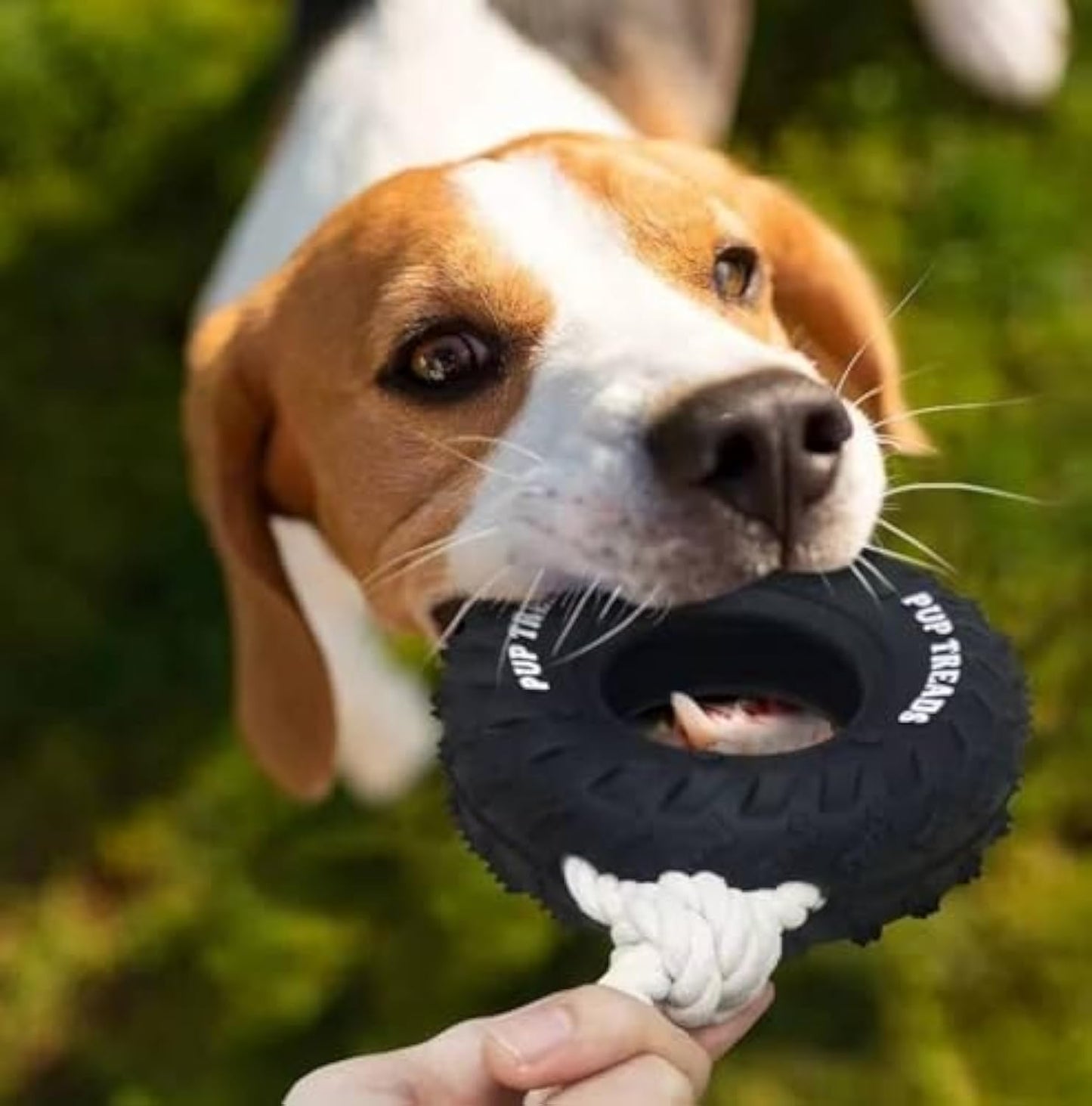 Durable Dog Chew Treat Toy
