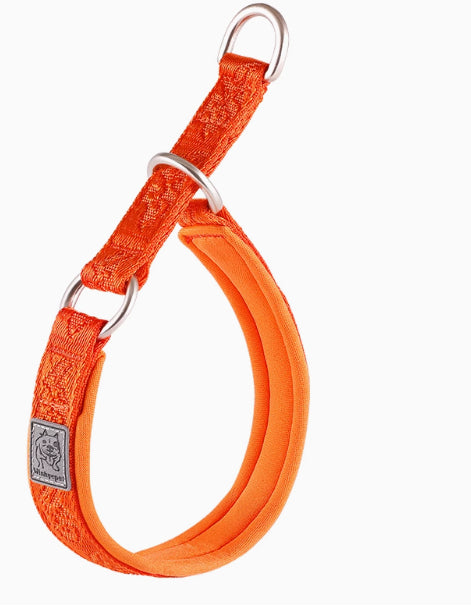 P-Chain Dog Collar