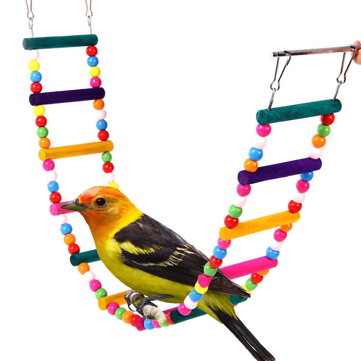 Parrot Wooden Bead Ladder Toy