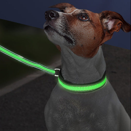 LED Waterproof Dog Collar