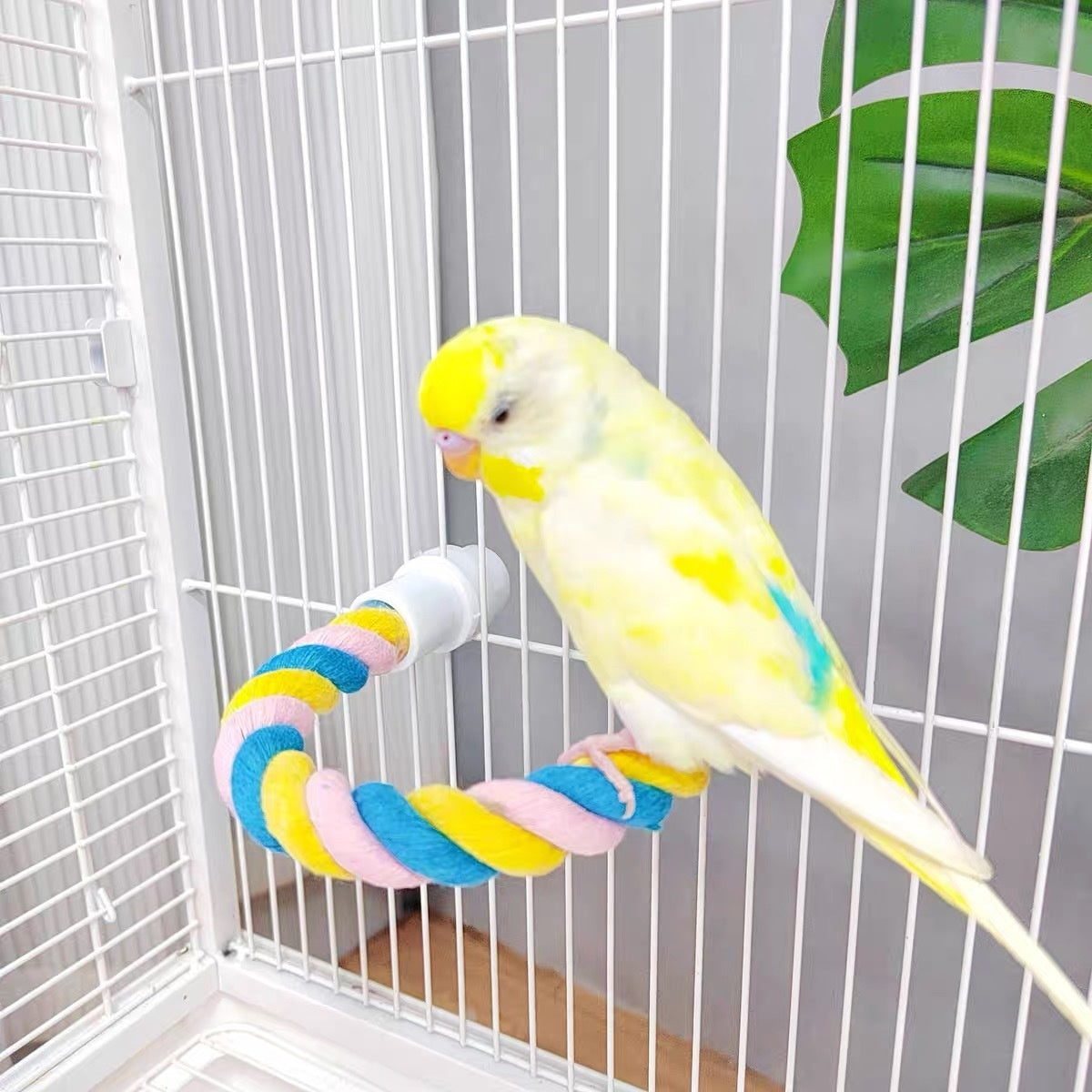 Bird Cotton Climbing Toy