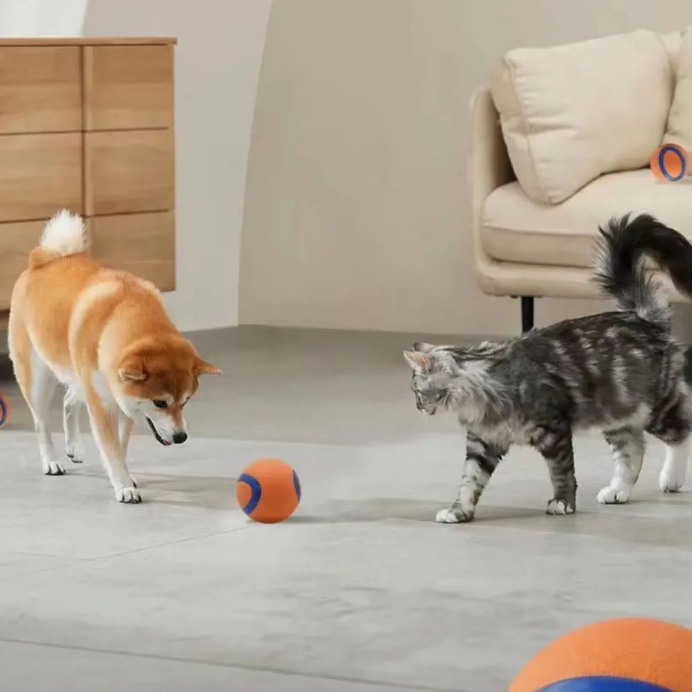 Durable Dog Fetch Chew Ball