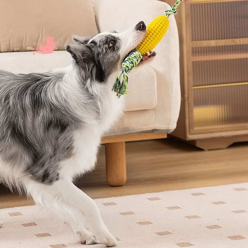 Giocattolo da masticare per cani Corn Knot per la pulizia dei denti