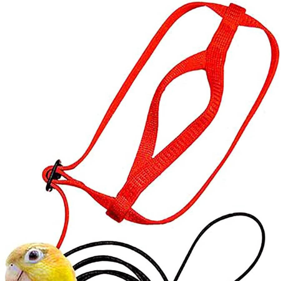 Parrot Harness with Flying Rop
