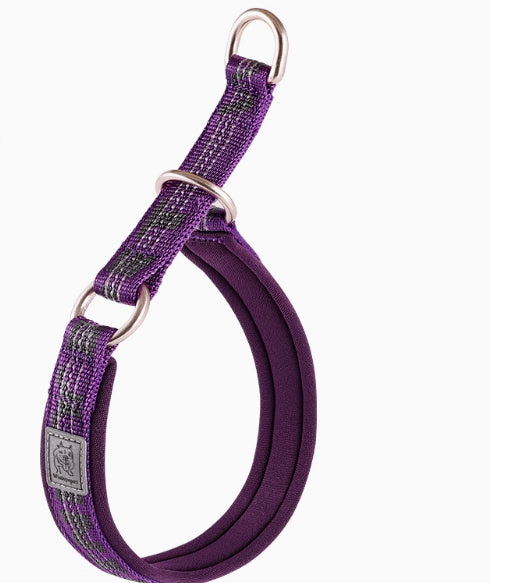 P-Chain Dog Collar