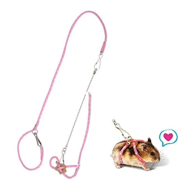 Corde de traction pour l'entraînement des hamsters