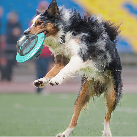 Interactive Dog IQ Treat Ball