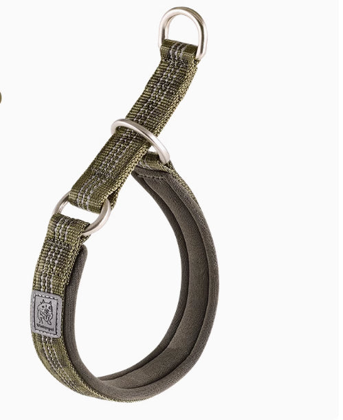 P-Chain Dog Collar