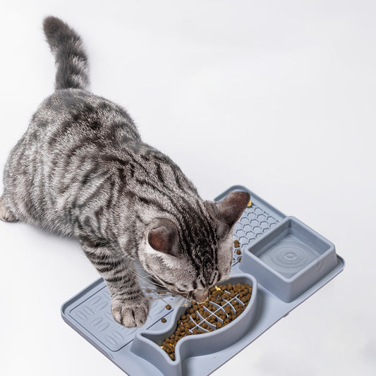 Multifunction Pet Slow Feeder