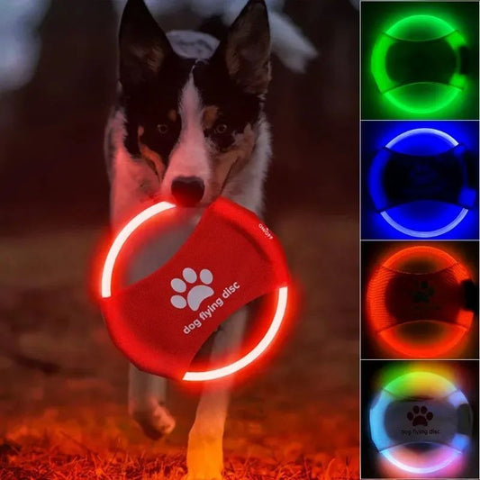 LED Glowing Dog Disc Toy