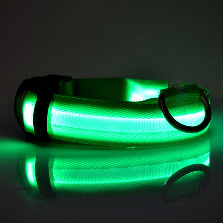 LED Safety Dog Collar