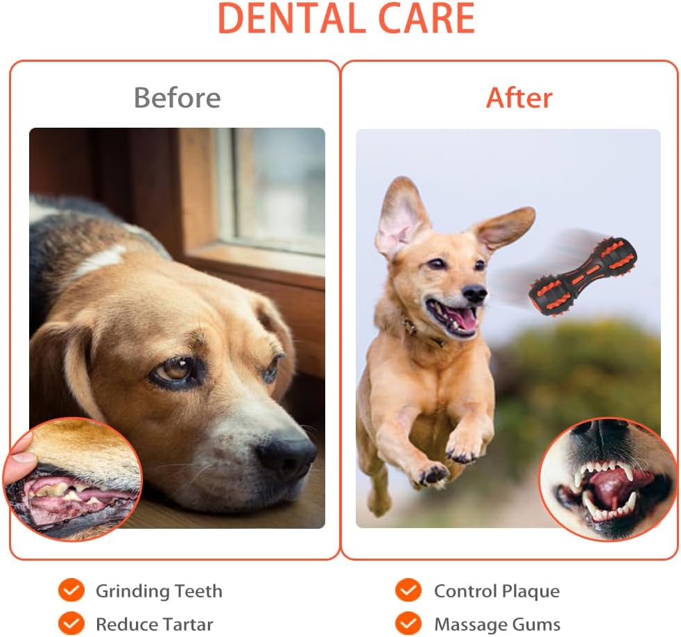 Durable Squeaky Chew Toy