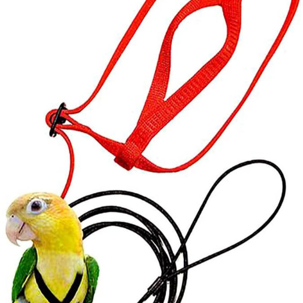 Parrot Harness with Flying Rop