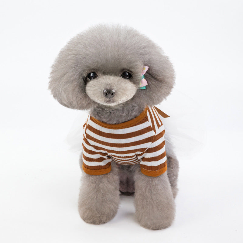 Small Dog Pet Clothes