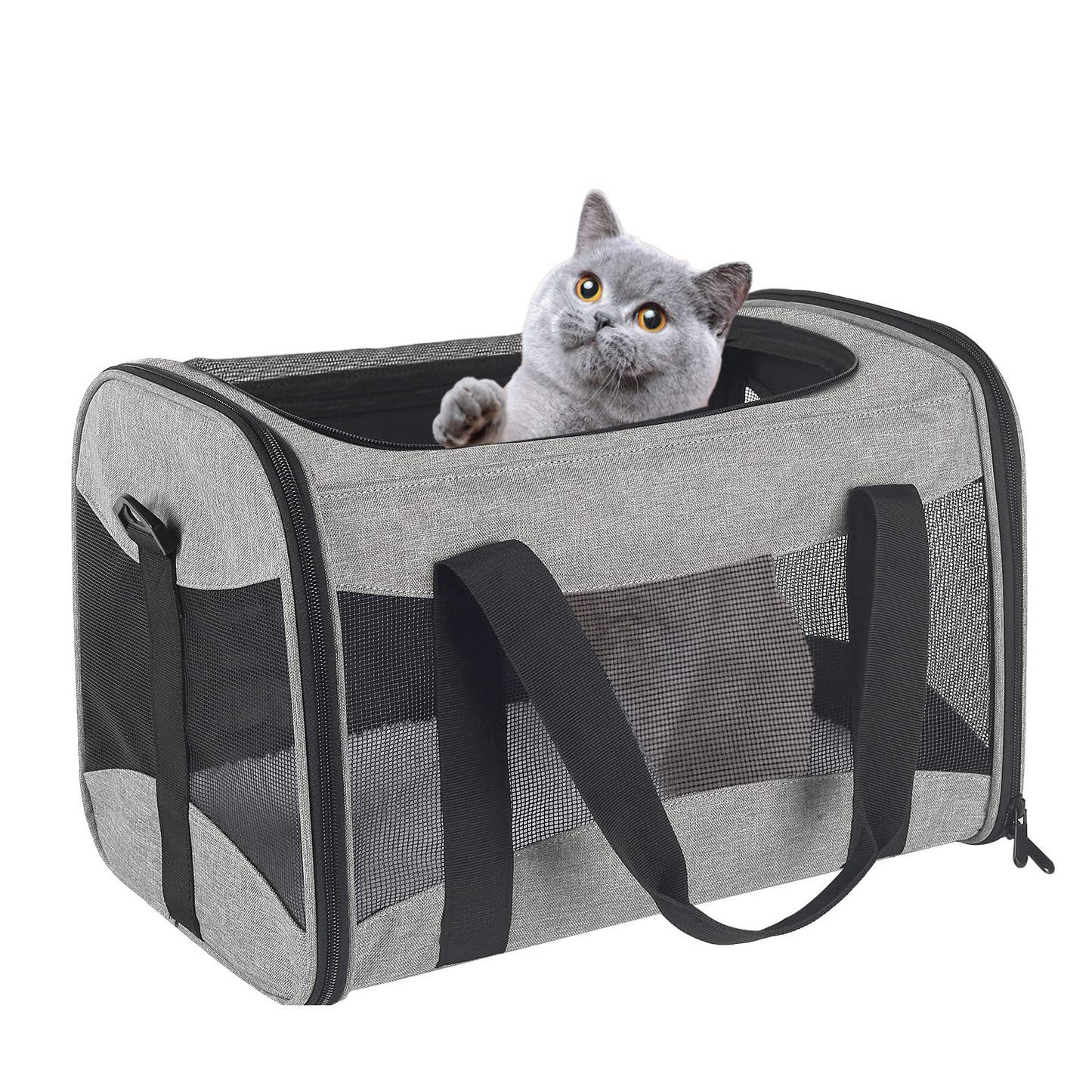 Portable Foldable Crossbody Pet Bag