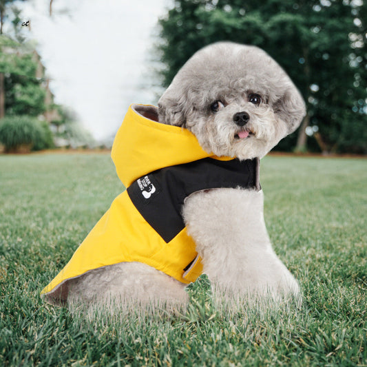 Color Contrast Dog Raincoat