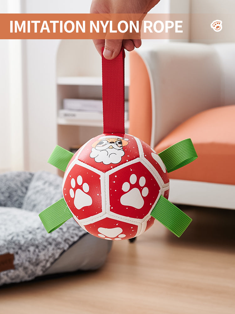 Interactive Dog Soccer Chew Toy