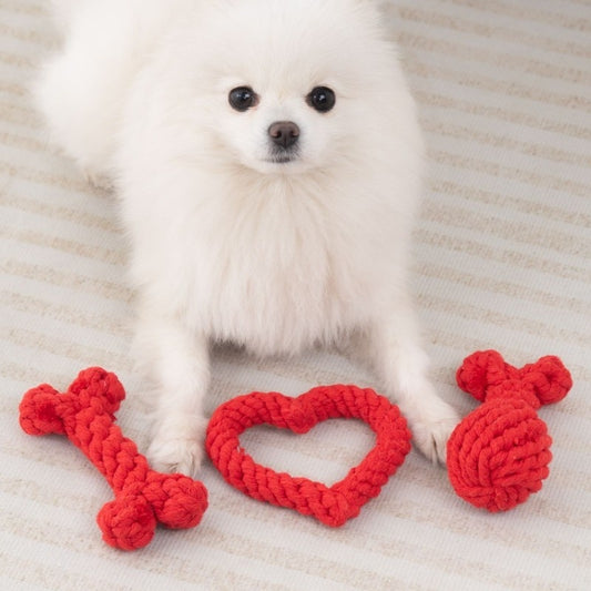 Puppy Small Anti-Stuffy Pet Bed