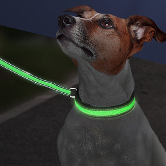 LED Waterproof Dog Collar