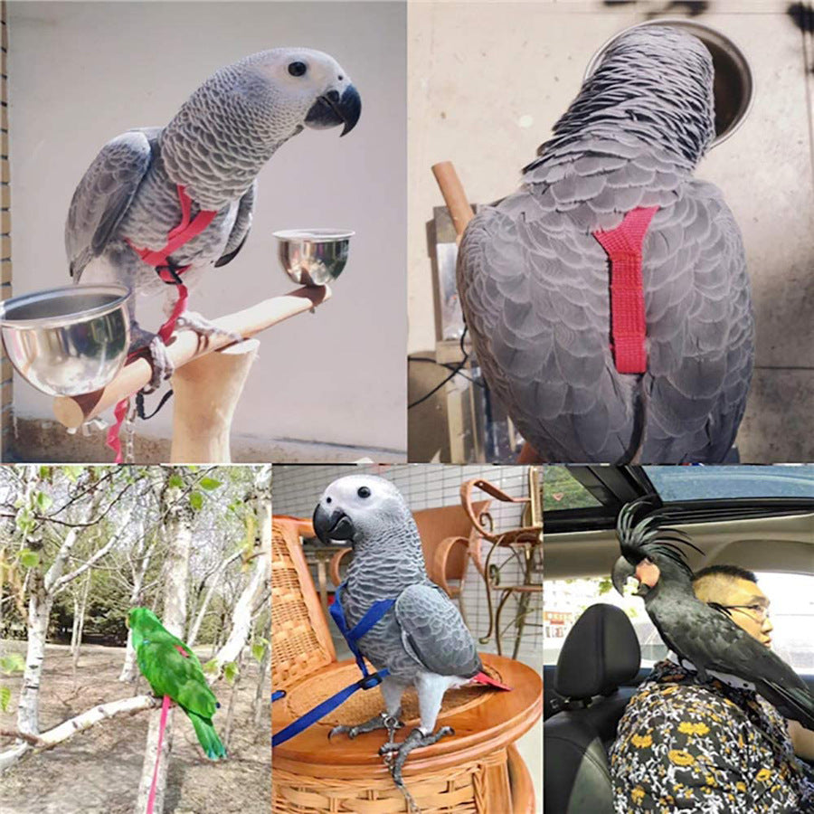 Parrot Harness with Flying Rop