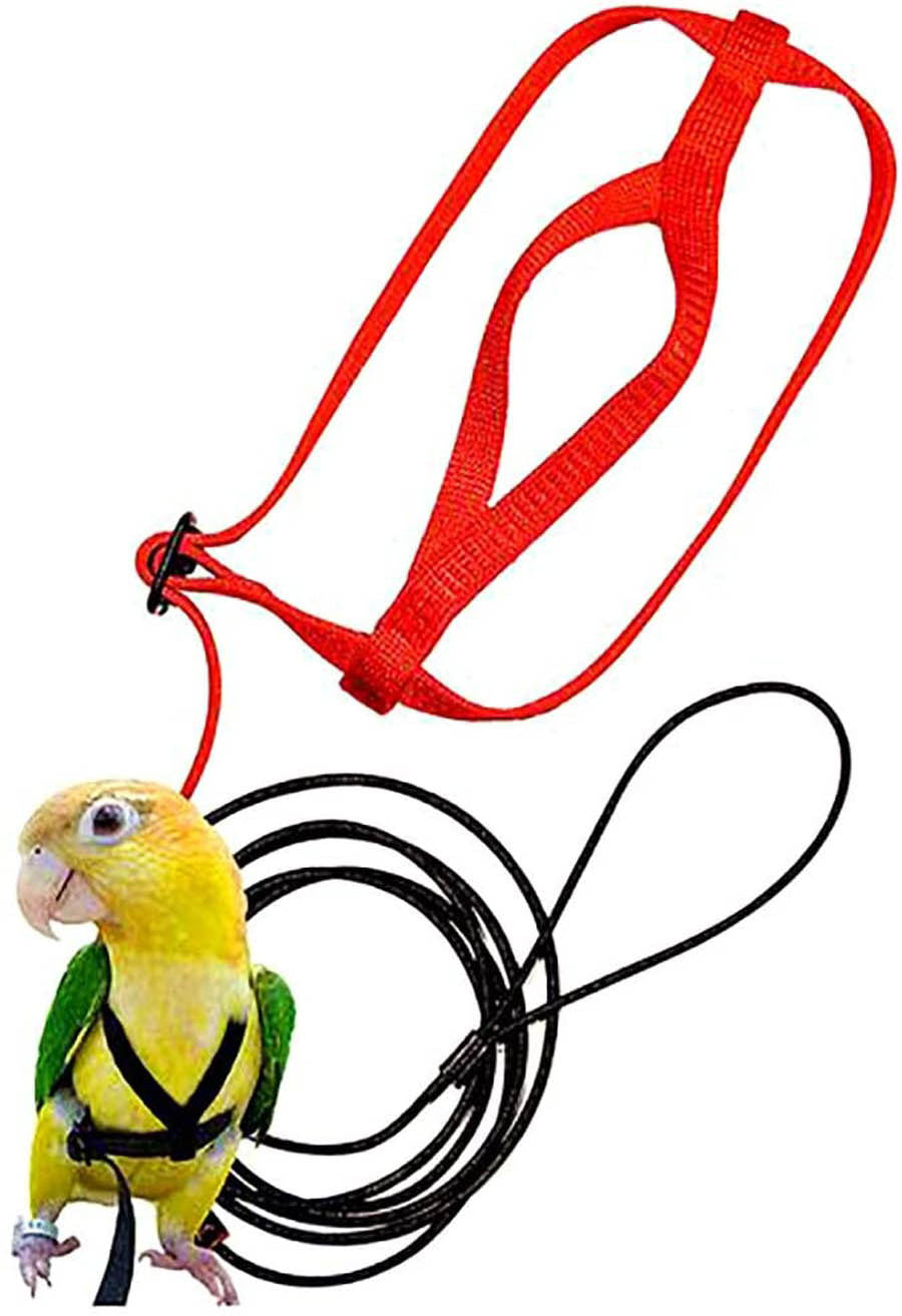 Parrot Harness with Flying Rop