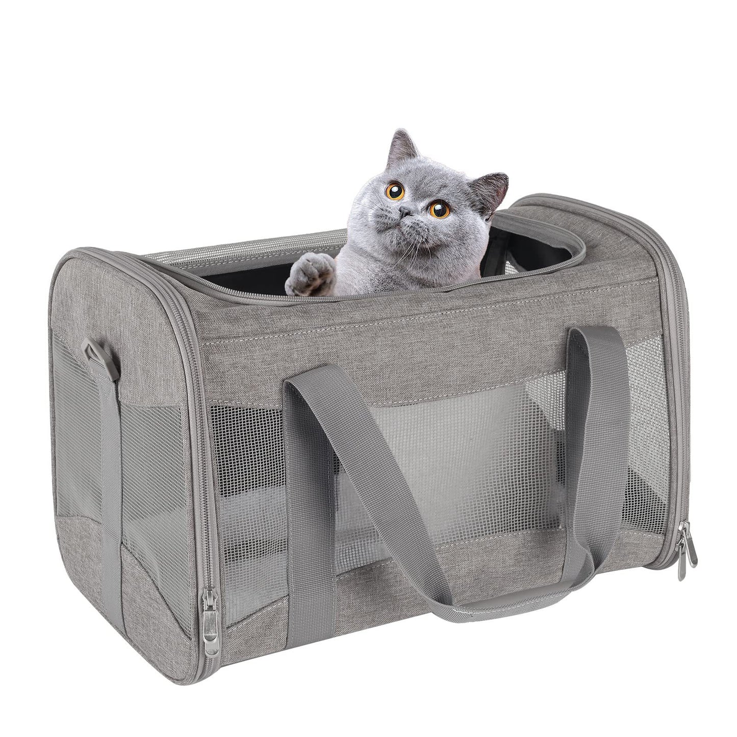 Portable Foldable Crossbody Pet Bag