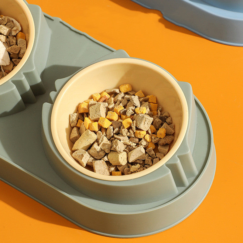 Stainless Steel Anti‑Spill Double Bowl
